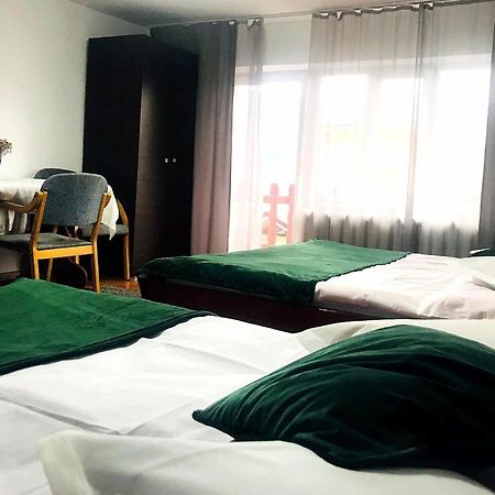 Apartament Sarco Villa Vatra Dornei Buitenkant foto