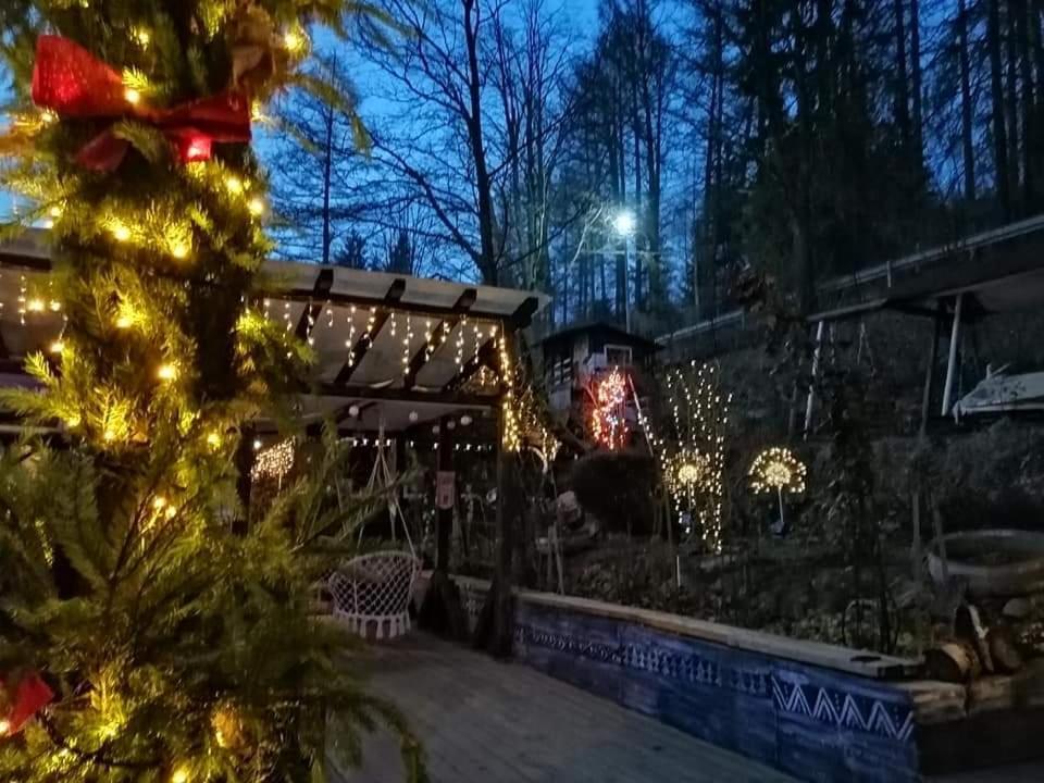 Apartament Sarco Villa Vatra Dornei Buitenkant foto