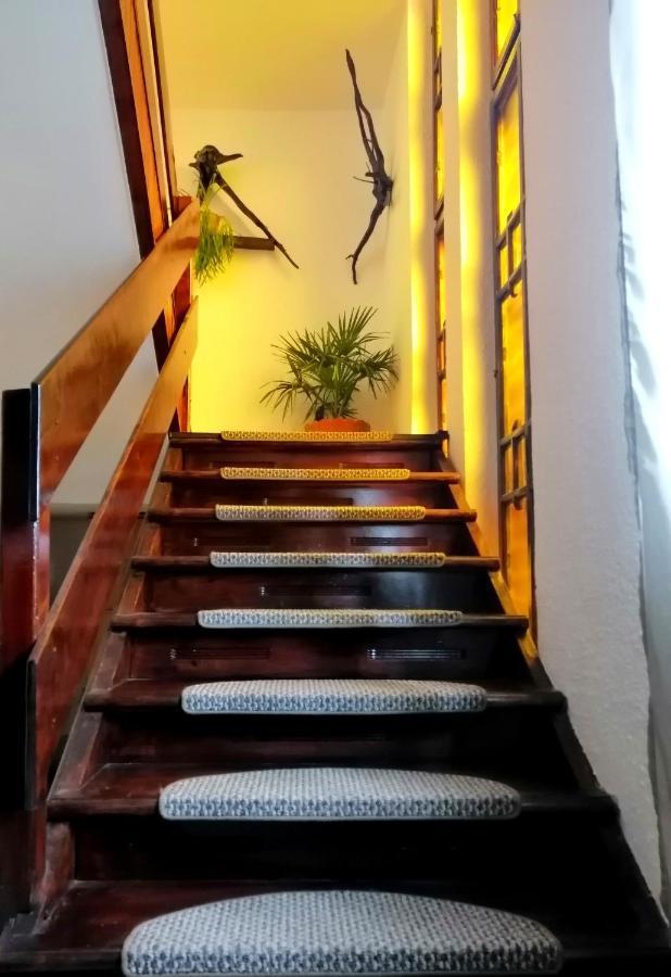 Apartament Sarco Villa Vatra Dornei Buitenkant foto