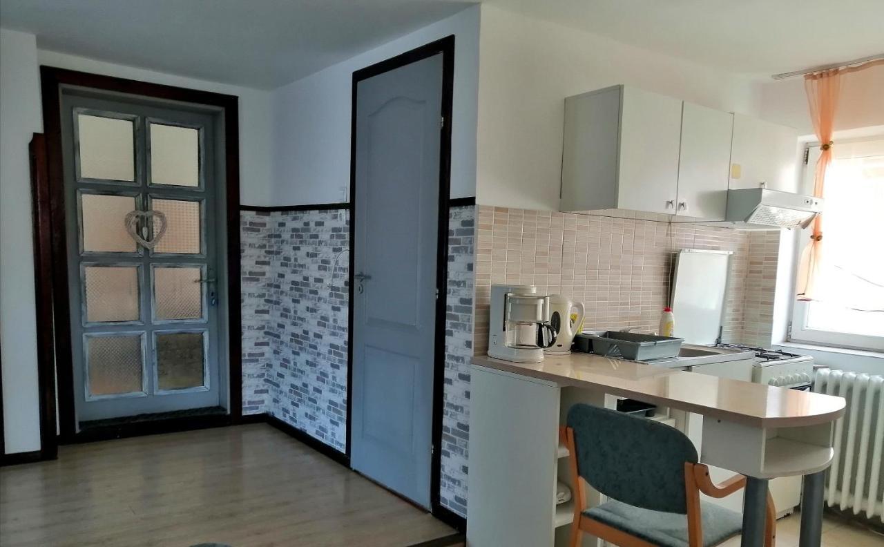 Apartament Sarco Villa Vatra Dornei Buitenkant foto
