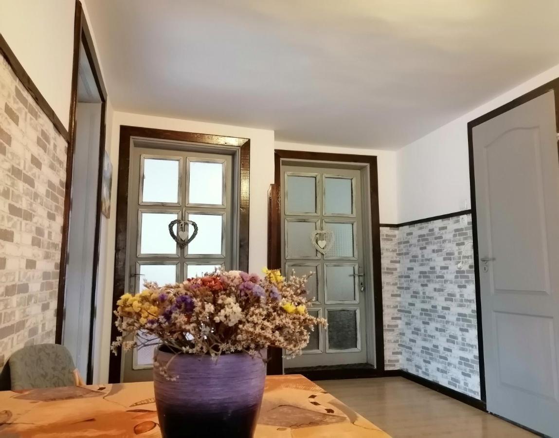 Apartament Sarco Villa Vatra Dornei Buitenkant foto