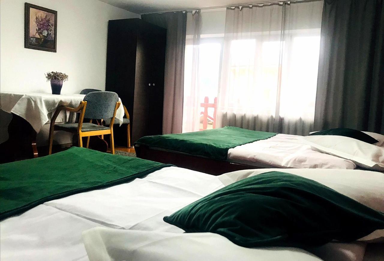 Apartament Sarco Villa Vatra Dornei Buitenkant foto