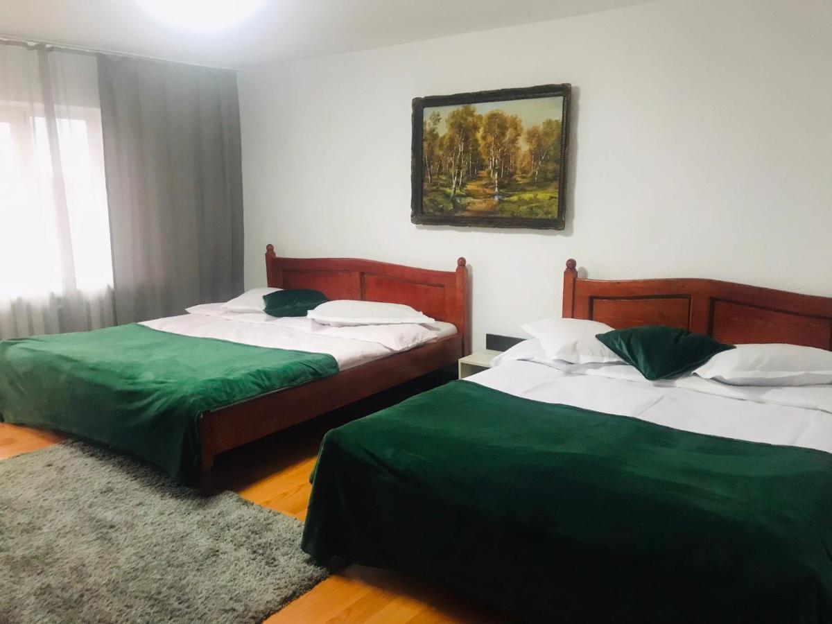 Apartament Sarco Villa Vatra Dornei Buitenkant foto